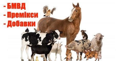 БМВД